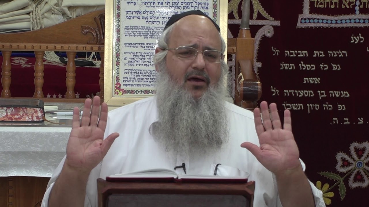 ווארטים מפרשת חוקת - הרב שלמה לוינשטיין HD