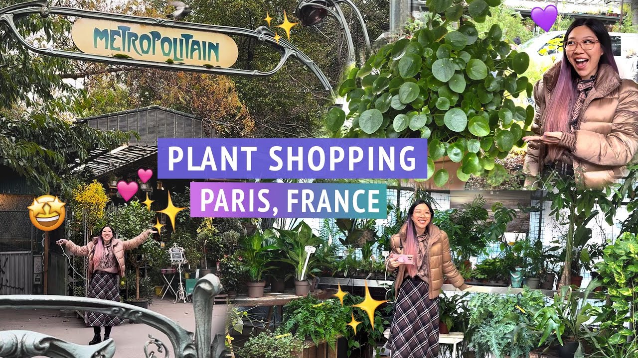 Let's go plant shopping in PARIS!! 🌿🇫🇷✨ Houseplants for sale at Marche aux Fleurs 🤩🌷