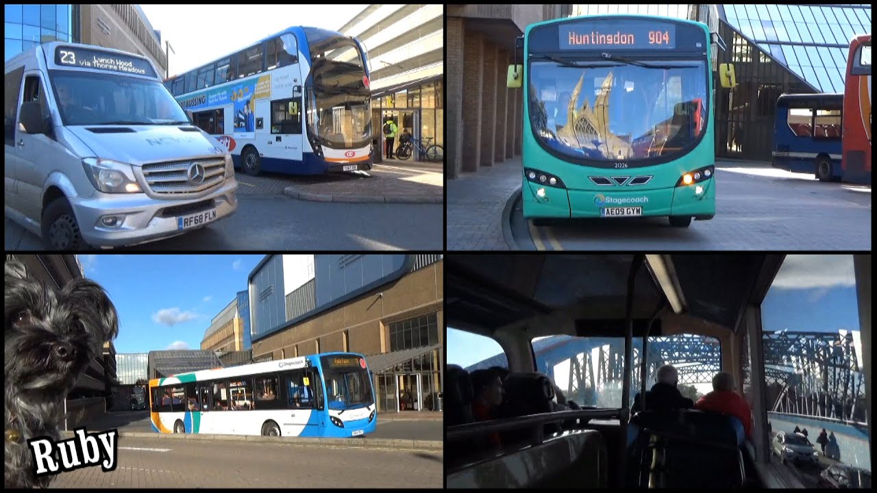 Buses in Peterborough with Ruby (November 2022)