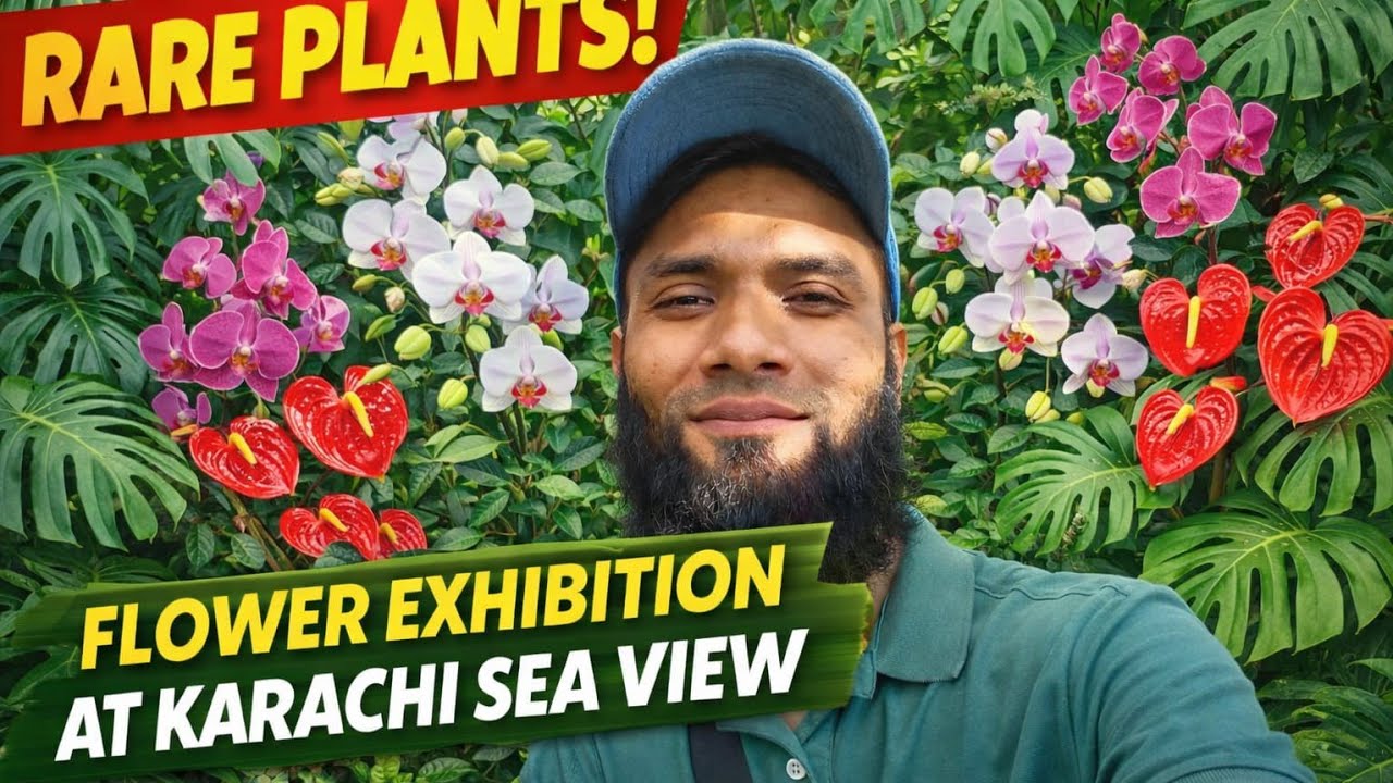 75th Annual Flower Exhibition Karachi Part 2 