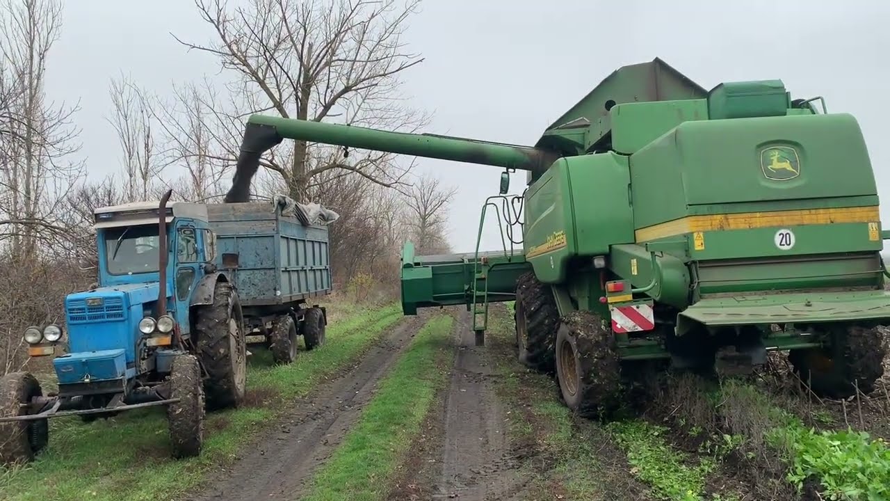 Підсумок осені 2025  що було. Відео які не попали на YouTube!