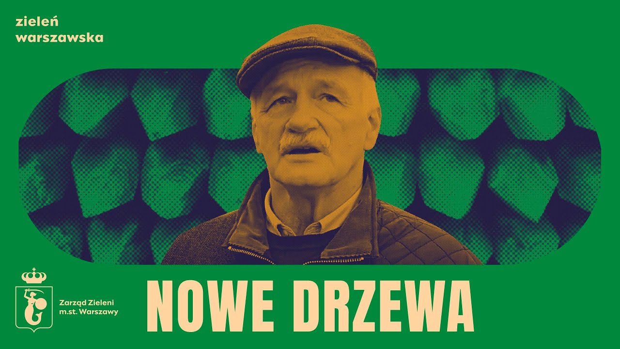 W koronach miasta | Nowe drzewa