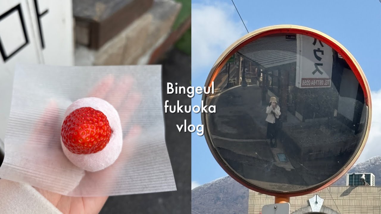 vlog. 둘이 갔다가 혼자 오는 후쿠오카 여행기 / 혼자 유후인 탐방 / 텐진위주 구경 / 스시, 이치란, 장어덮밥, 야키니쿠, 모츠나베 등등.. 너무 잘먹은 여행