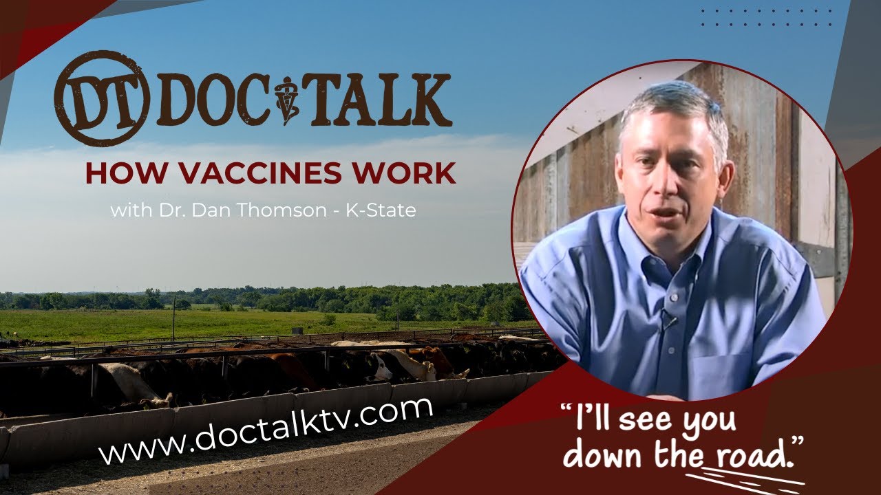 DocTalk Ep 85 - How Vaccines Work