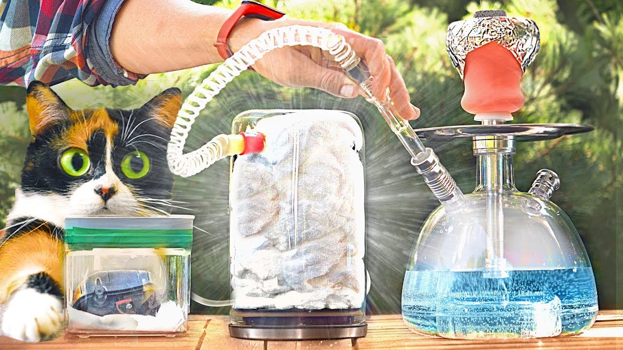 WHAT HAPPENS TO YOUR LUNGS AFTER SMOKING HOOKAH ALL DAY?