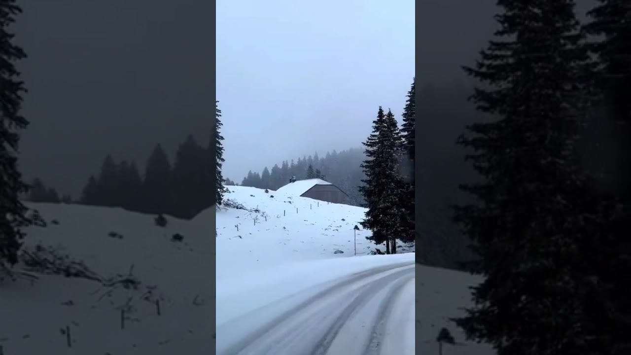 Румиса Никаева, поёт очень красиво. 