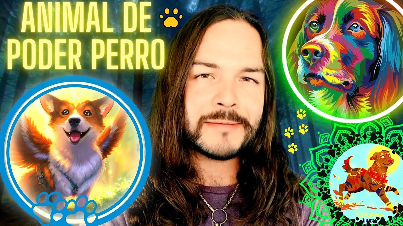 Animal de poder perro y su significado espiritual