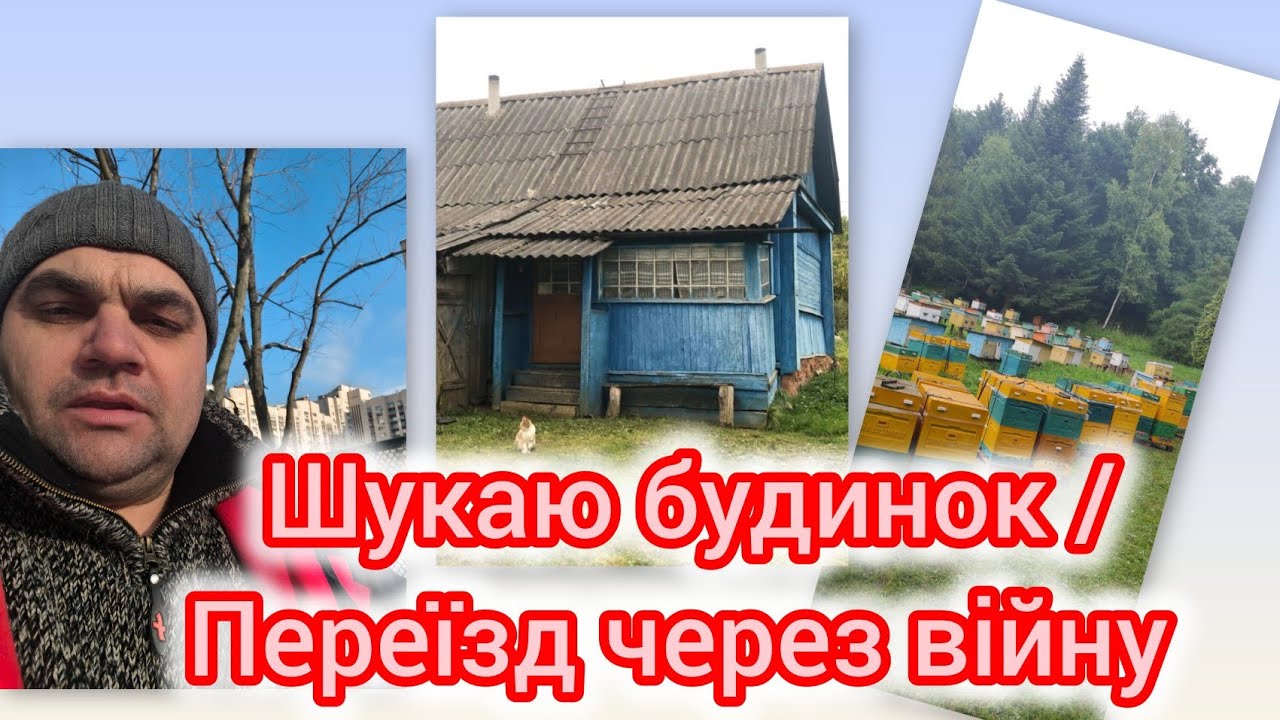 Переезжаю и хочу перевезти пасеку/ Киевская, Черниговская, Черкасская обл.