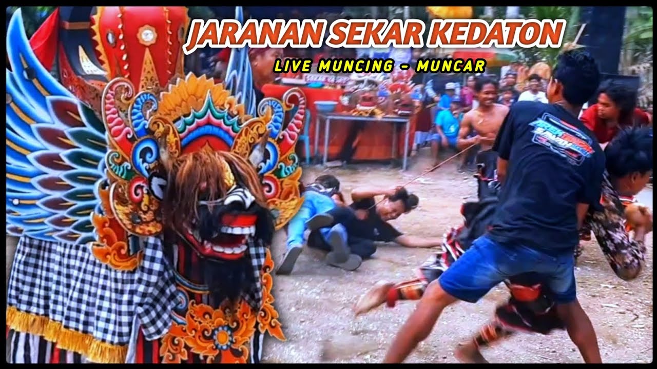 HEBOH ‼️NDADI - BARONG PREJENG - JARANAN SEKAR KEDATON MUNCAR