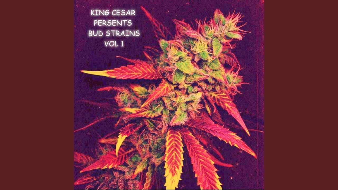 Granddaddy Purple