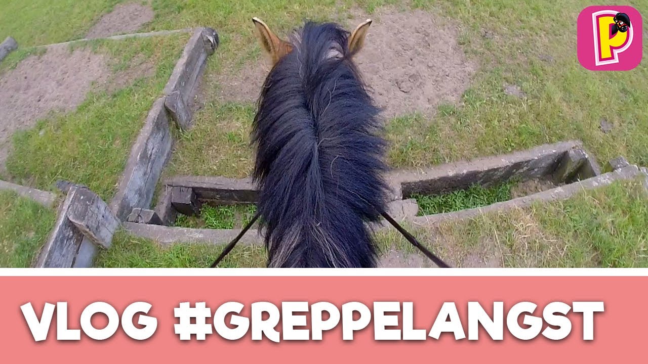 Lukt het Felinehoi de greppelangst van Marley te overwinnen? | Vlog #6 | Penny TV