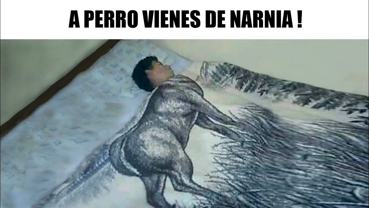 MEMES RANDOM #132