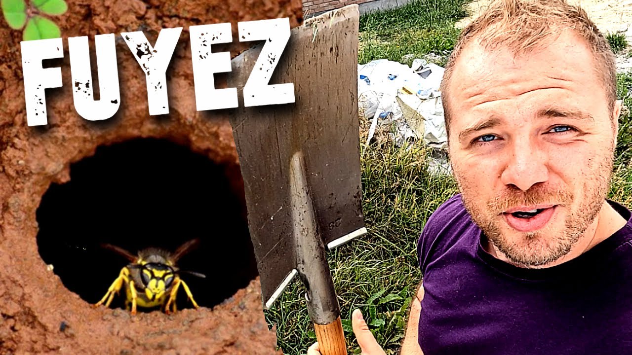 Je déterre un NID DE GUEPES à coup de PELLE ! (c'est un carnage)