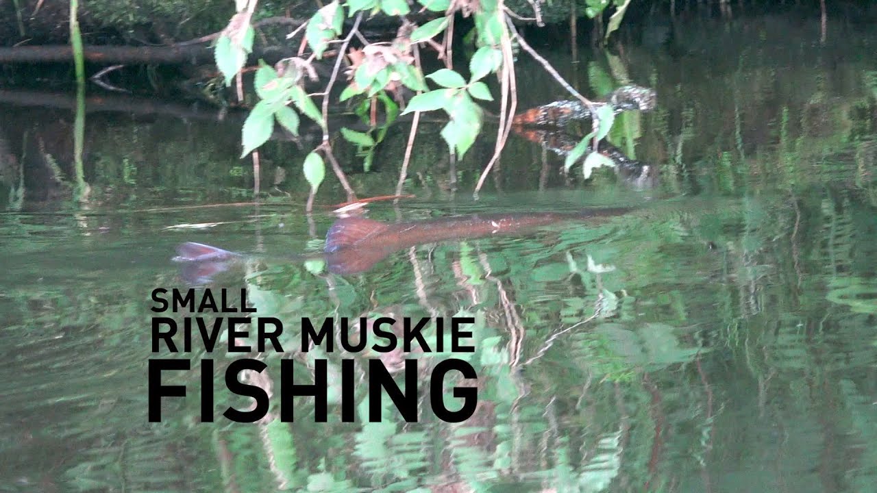 Small River Musky Fishing in Central Wisconsin