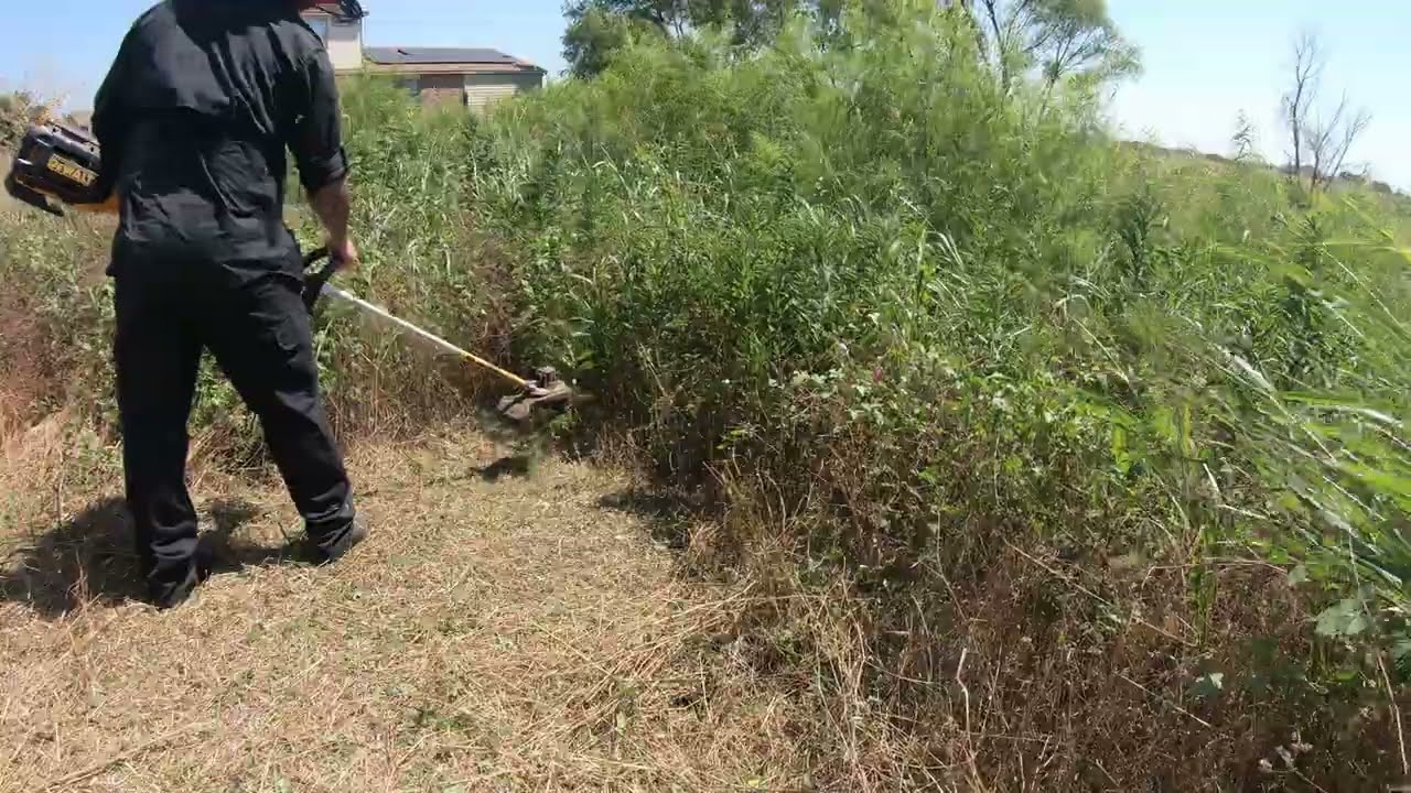 Milwaukee VS Dewalt VS Ego ELECTRIC String Trimmers