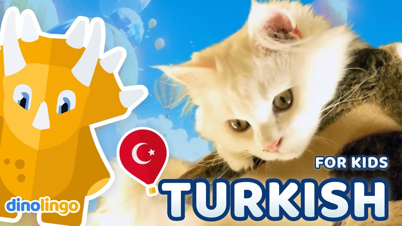 Learn Turkish for Kids: Animals | Online Turkish Lessons for Children