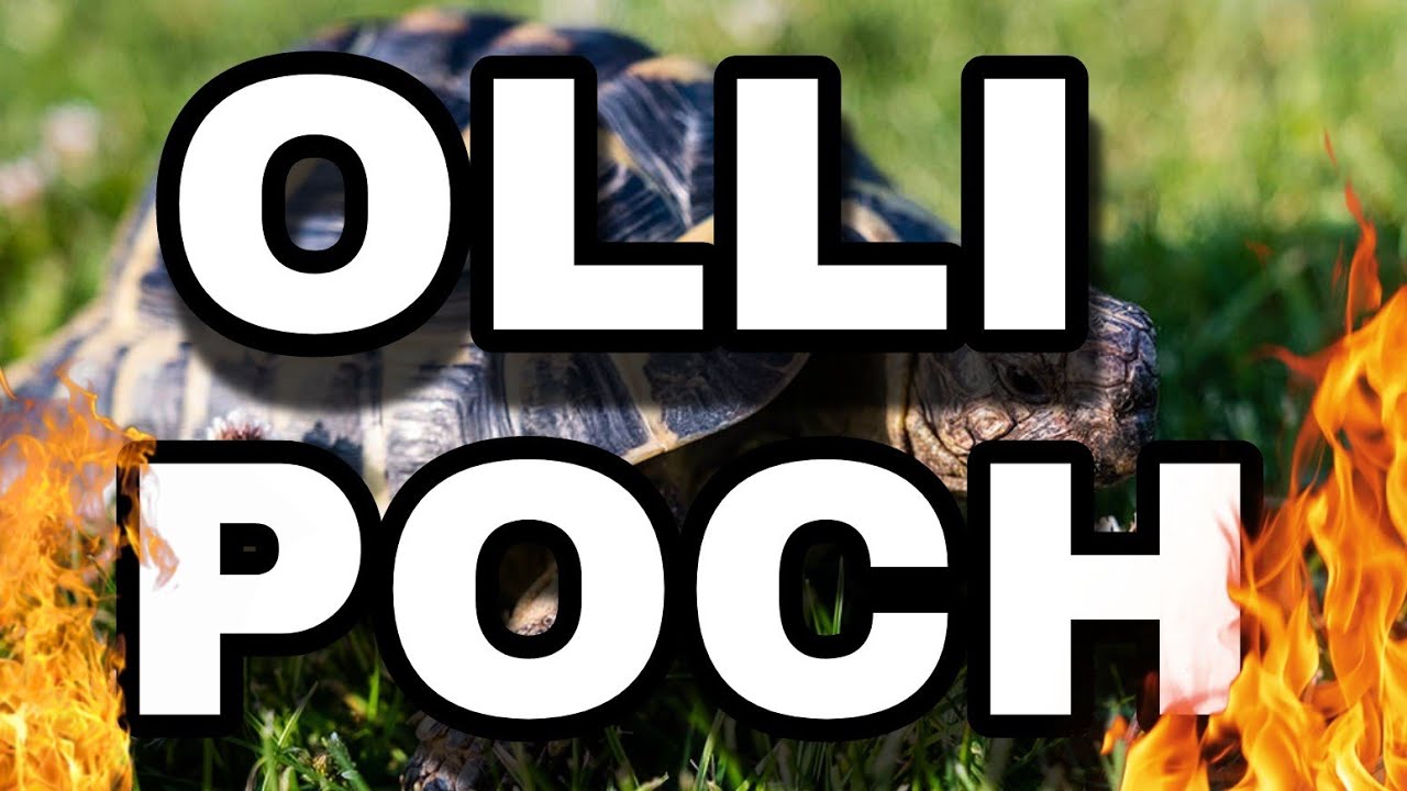 Olli Poch (Offizieller Song) MALLE-HiT