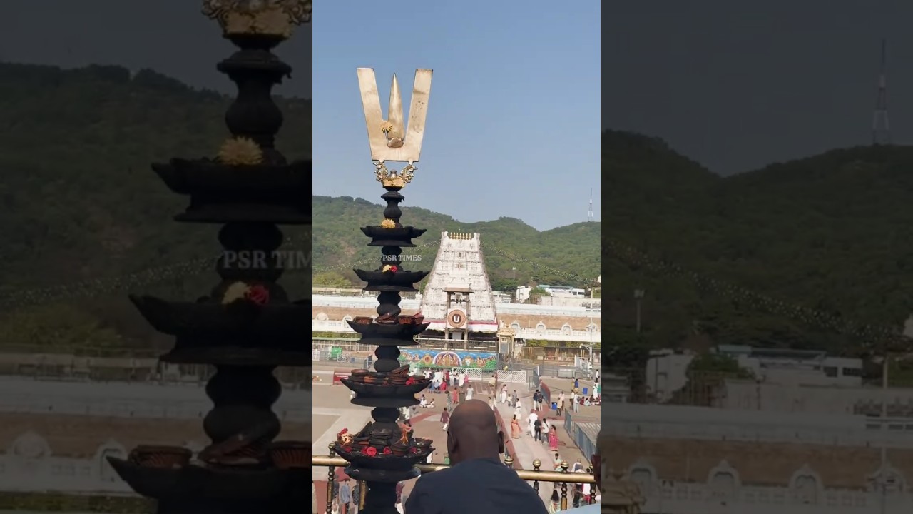 Tirumala Rush Update | తిరుమలలో భక్తుల రద్దీ | Ttd Live Today | PSR Times