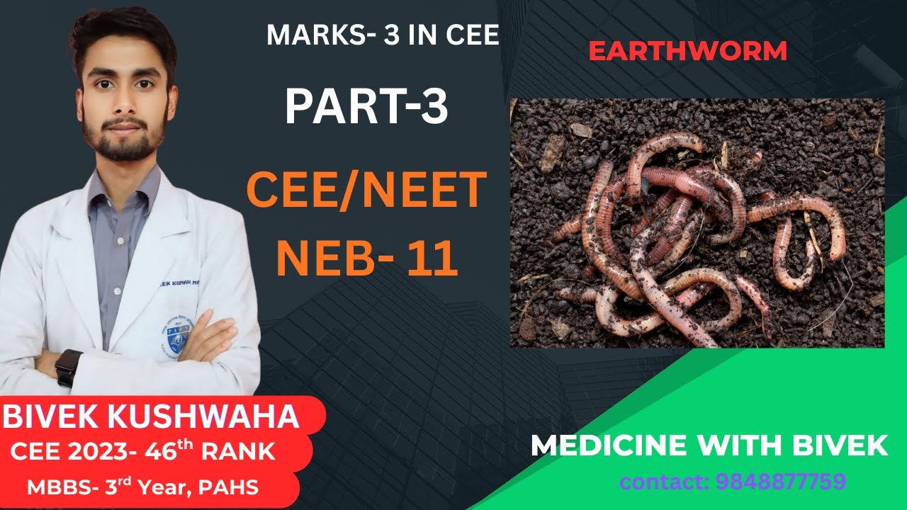 CEE Nepal/NEET|| NEB Class-11| Earthworm| Digestive system| part-3| by Bivek sir