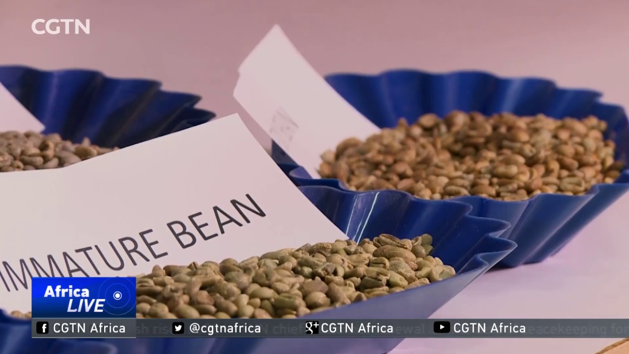 Ethiopia invests in coffee laboratory to boost output