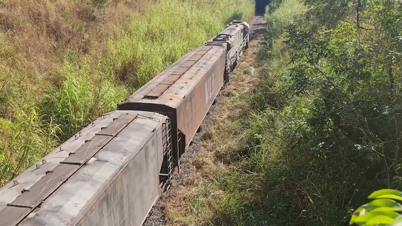 Trem liderado por uma GT46 da vli entrando no túnel 