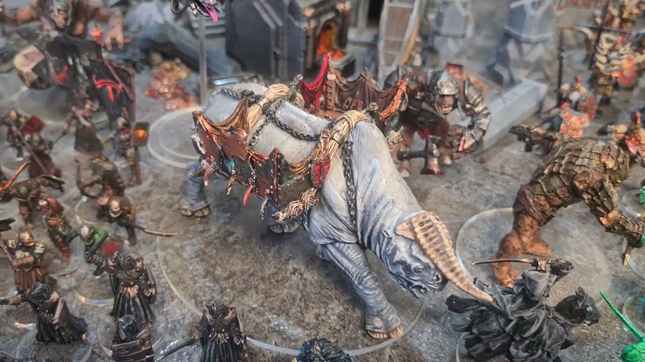 One Year MESBG army showcase (564 miniatures)