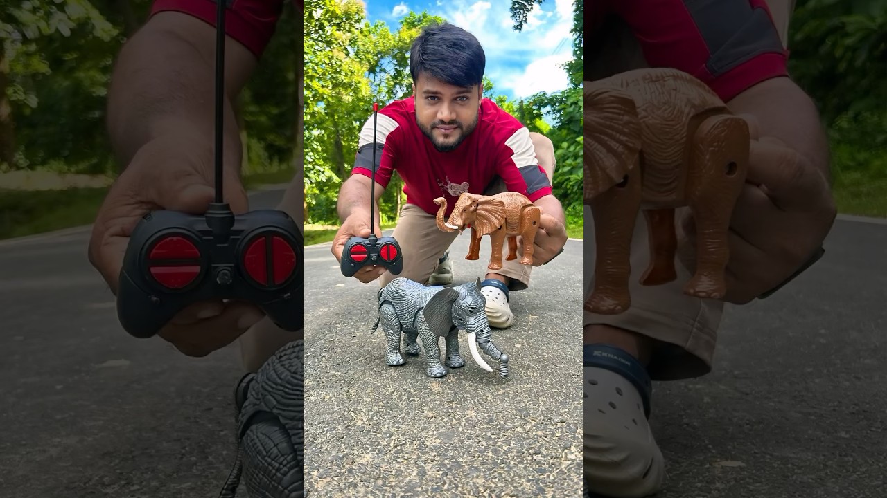 Small RC Elephant🐘 VS Big Elephant Testing 😱