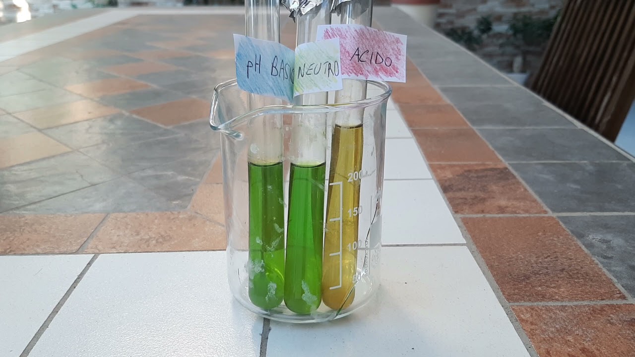 Clorofilla: estrazione, cromatografia, reattività e fluorescenza