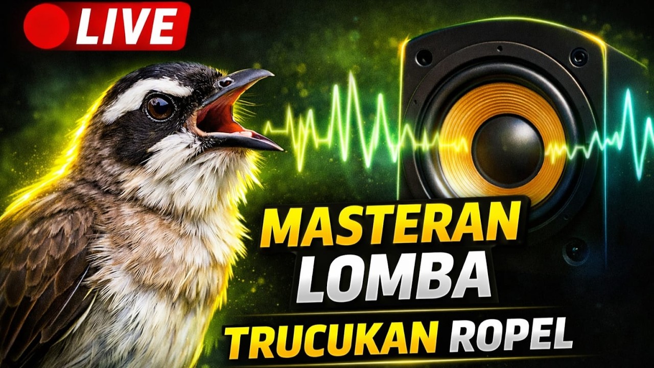 LIVE 🔴 Masteran Trucukan Ropel Gacor | Suara Tajam & Panjang Untuk Lomba