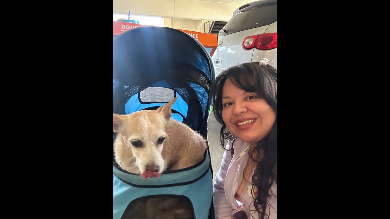 Vlog with Cindy is live @ The LACCSwap Meet!