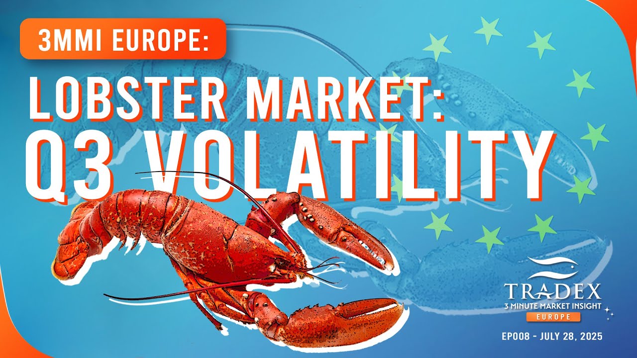 3MMI EUROPE - Q3 Lobster Market Volatility