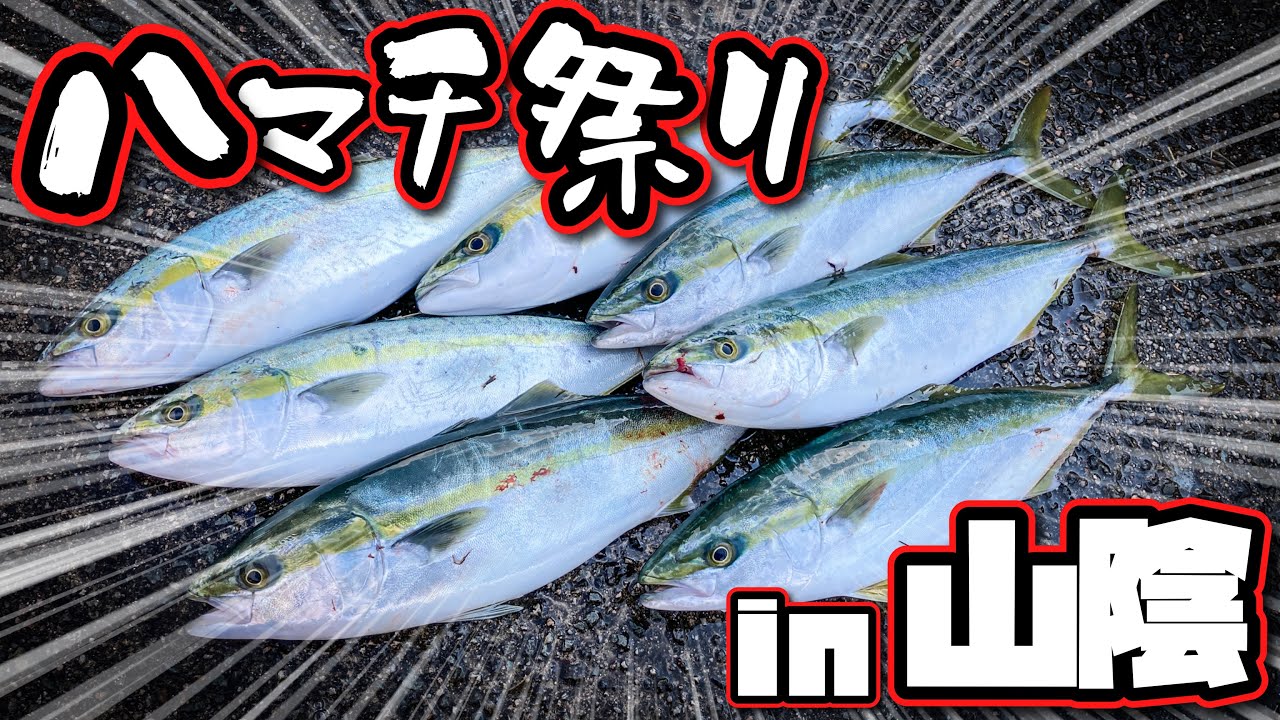 【ショアジギング】ハマチの大群が襲来！ジグとダイペンで無双してみた！【山陰】