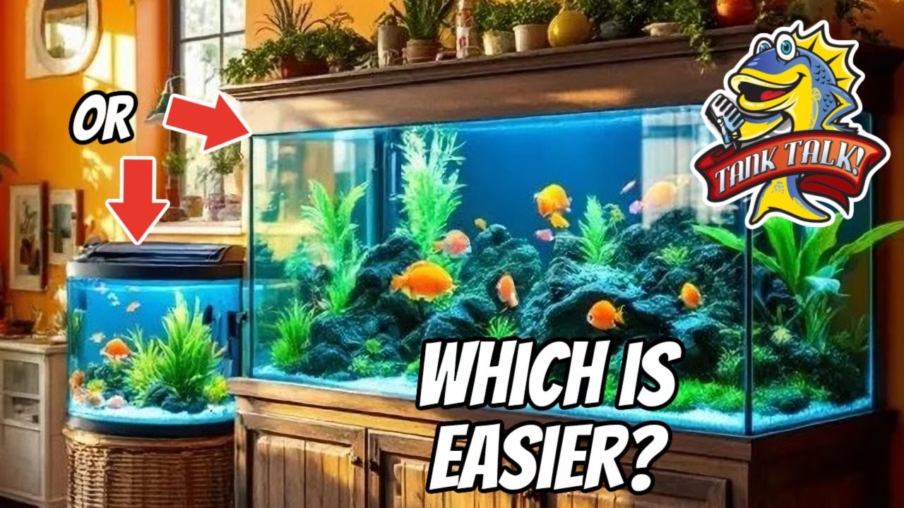 Легко ли содержать большие аквариумы?