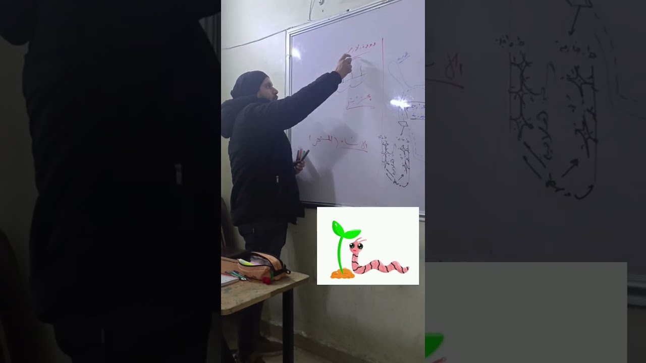 شرح الجهاز العصبي عند هيدرية الماء العذب ودودة الارض والحشرات والانسان بكلوريا علوم محمد رافع