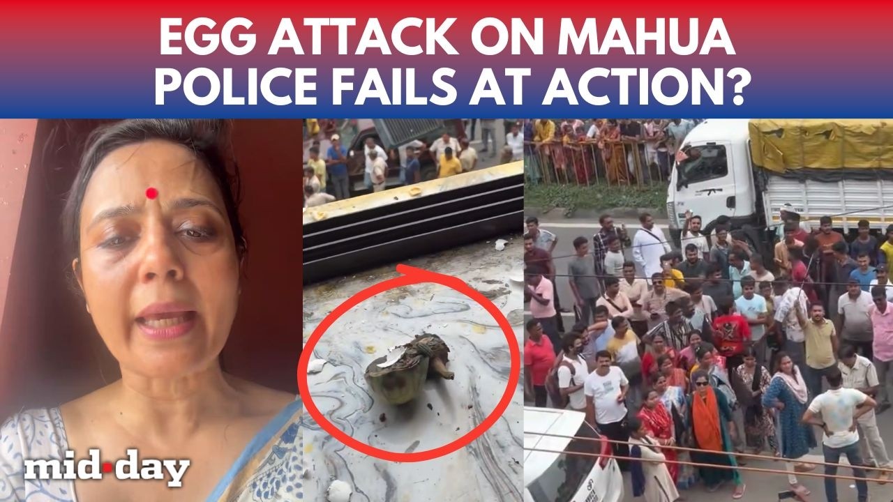 TMC MP Mahua Moitra ATTACKED, Eggs And Brinjals Thrown By Angry Protesters, TMC Alleges BJP Role