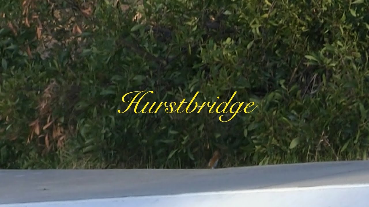 My dear friend Hurstbridge Skatepark