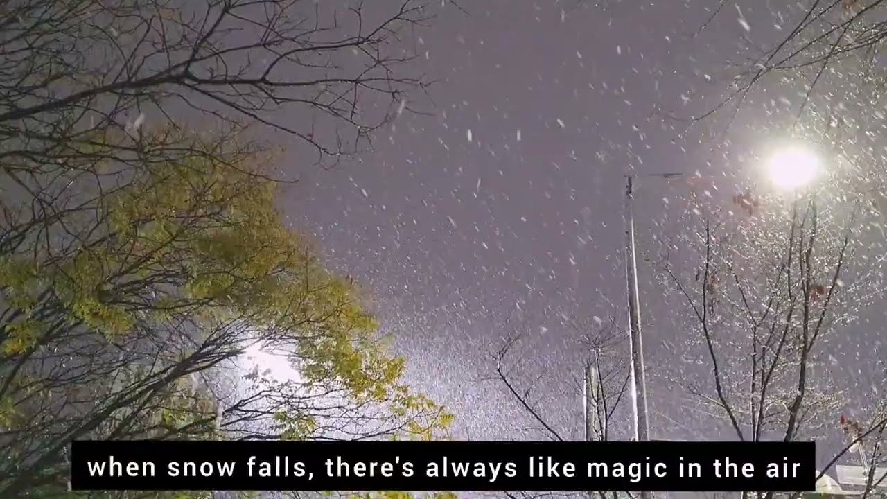LIFE VLOG II ONE SNOWY NIGHT AFTER WORK II PORK RIBS STEW FOR DINNER II WINTER 2026 II ShinAmy신아미