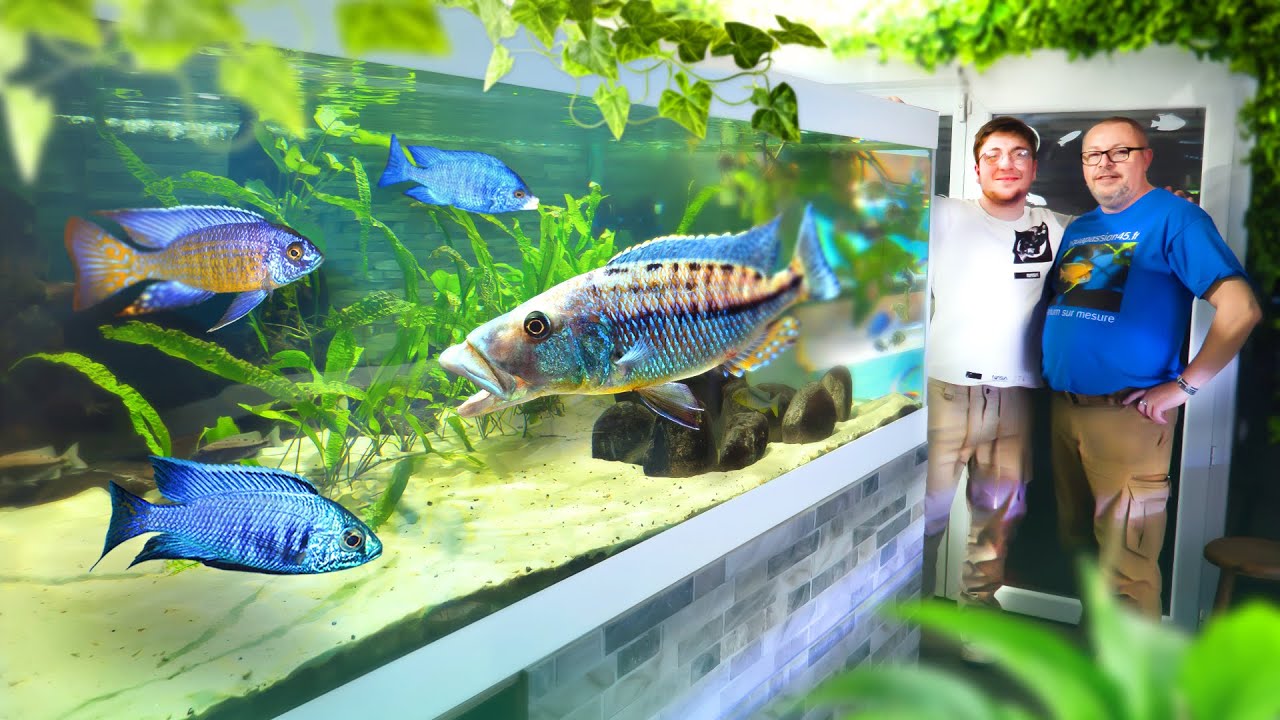 Plus de 20 000L d'AQUARIUM XXL dans la MAISON de David !