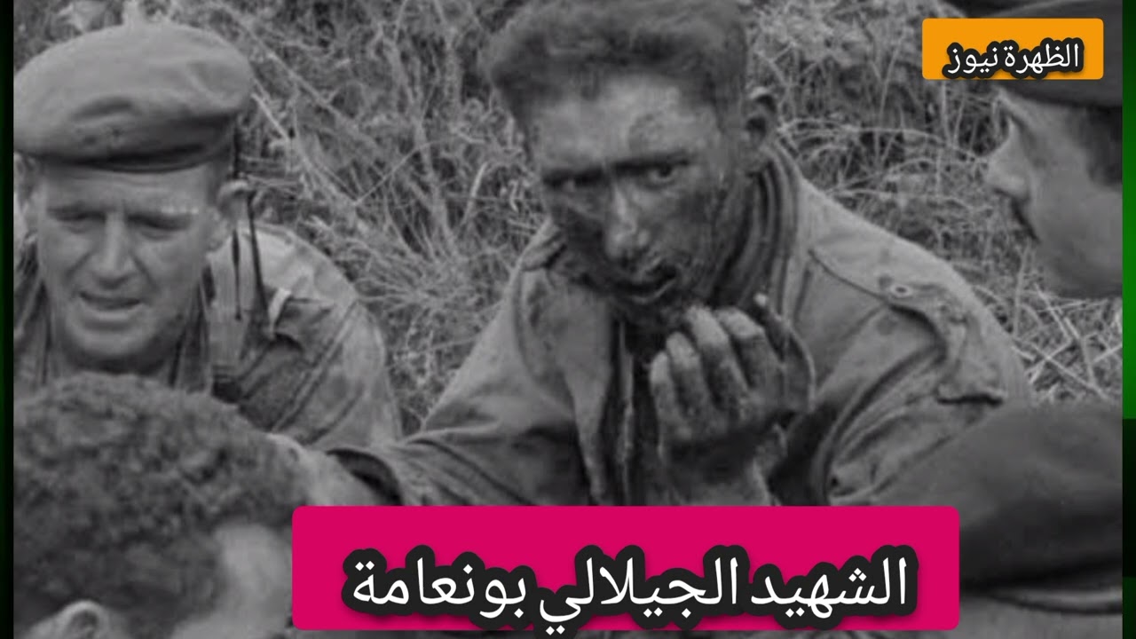 الشهيد البطل الجيلالي بونعامة 