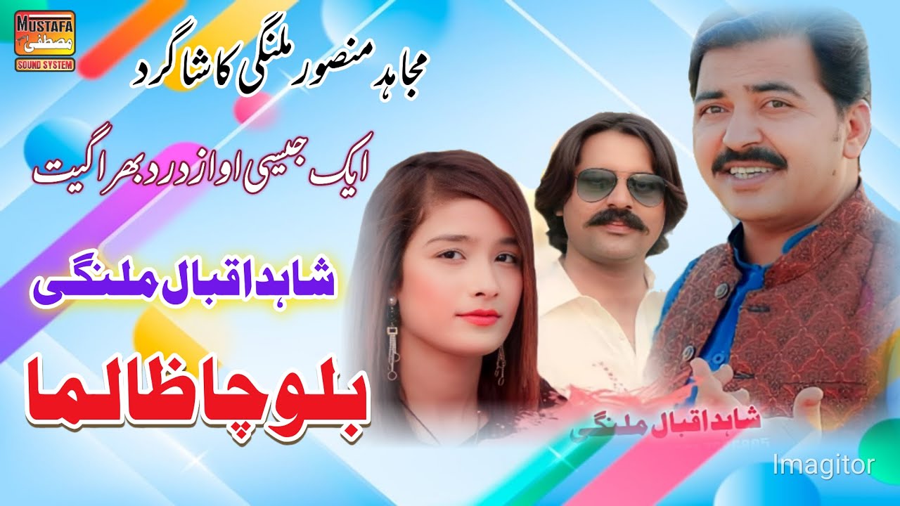 Balocha Zalma Shahid Iqbal Malangi 2025 New Saraiki Song Mustafa Sound System Official 2025