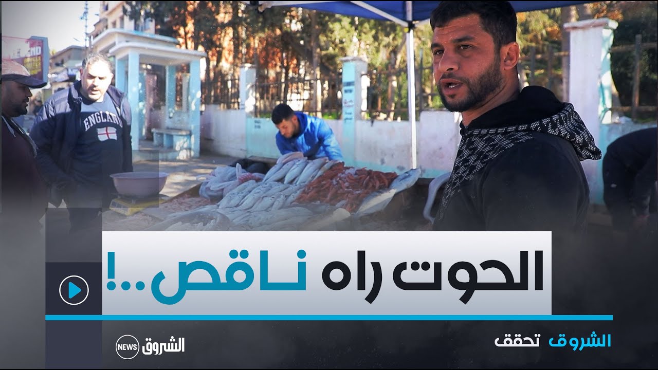 اشلروق تحقق | ماهي العوامل التي تتحكم بأسعار السمك؟ أحد بائعي الأسماك يكشف هذا التساؤل  شاهد