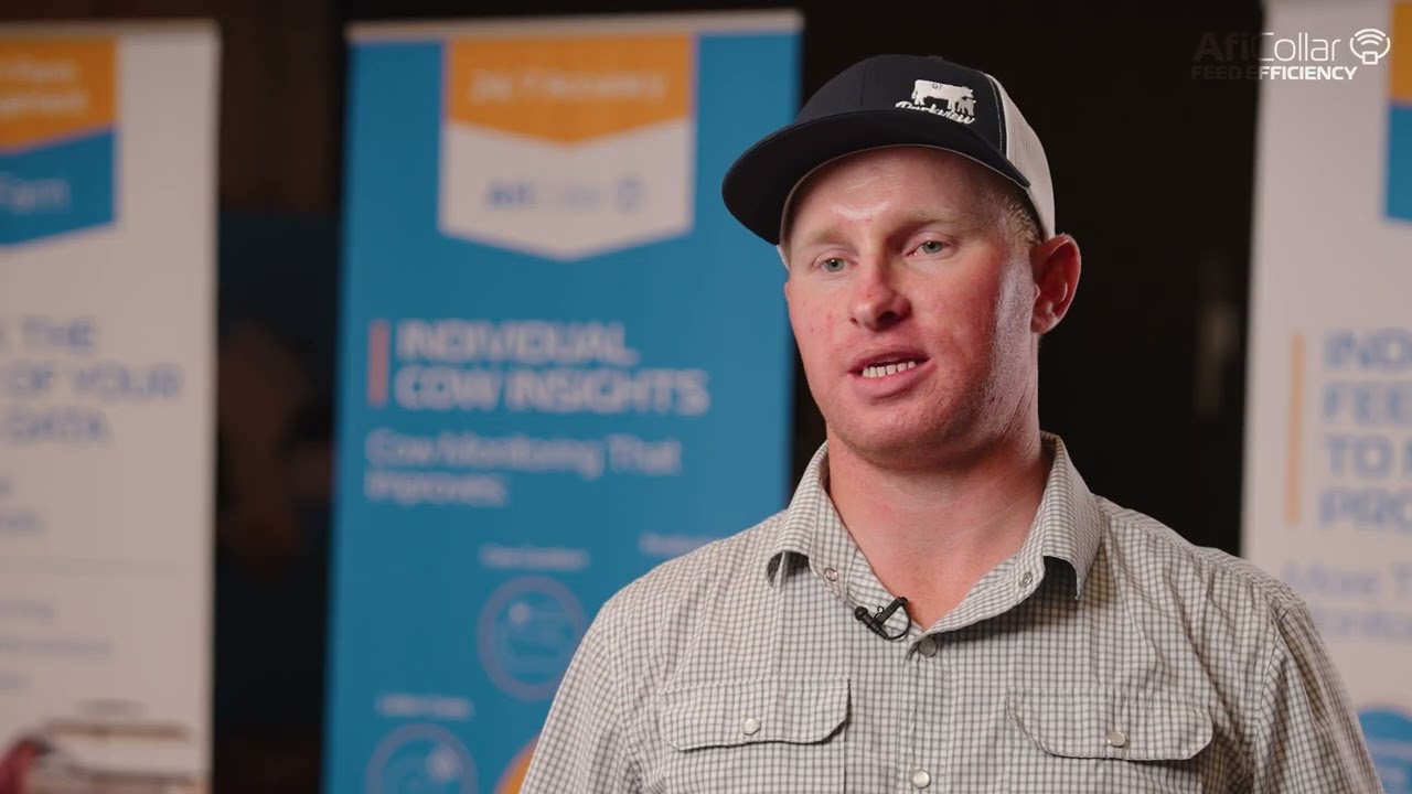 Parkview Dairy Sees Measurable ROI with AfiCollar Feed Efficiency