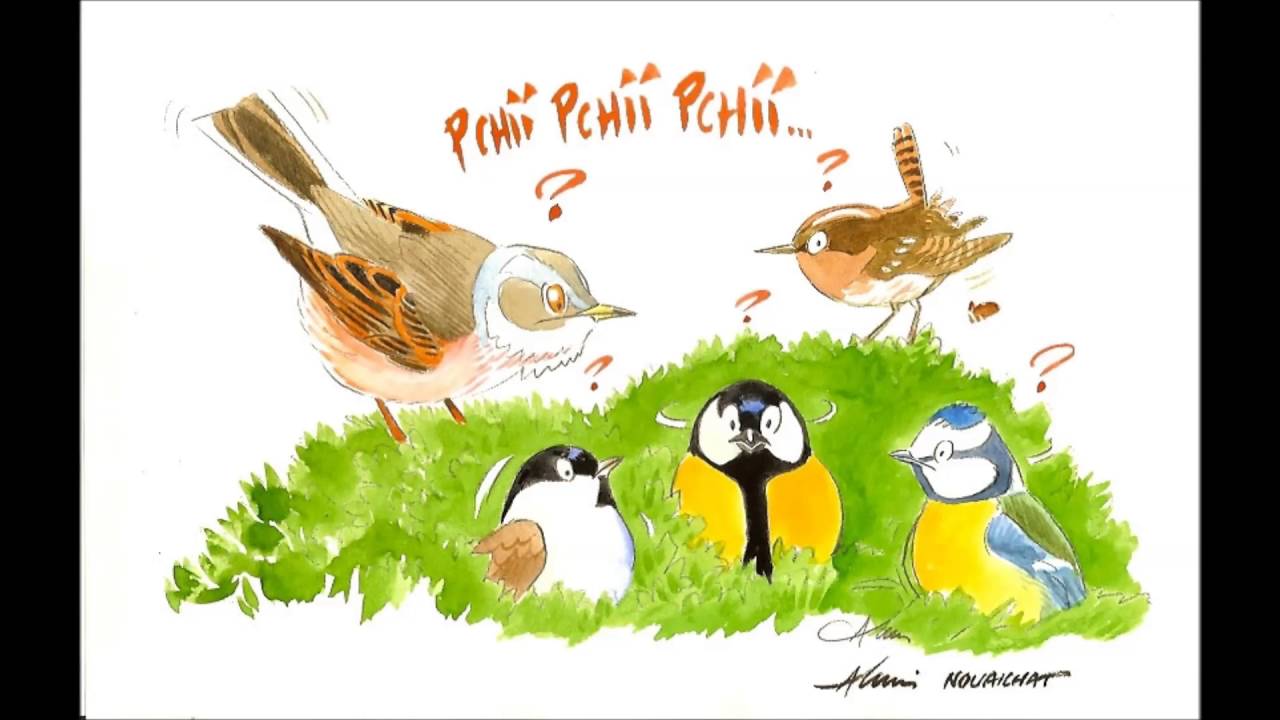 RECONNAITRE LES CHANTS D'OISEAUX : Exercice N°4