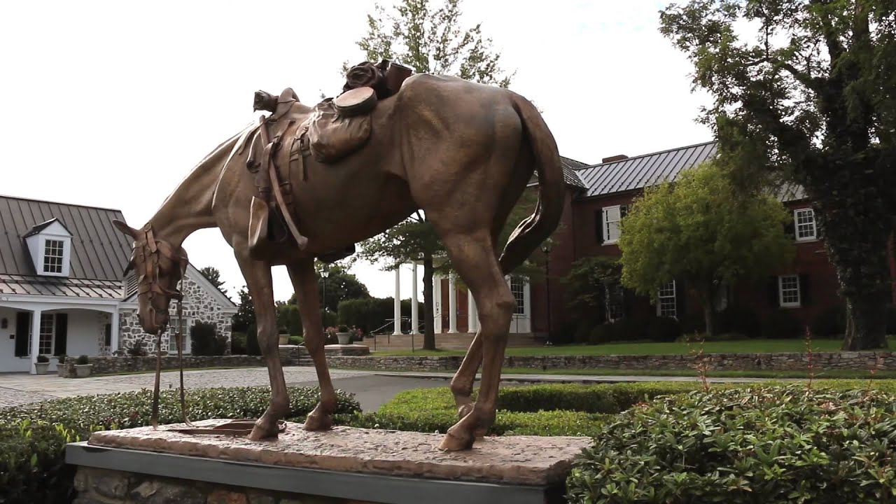 Horses & History in Middleburg, VA