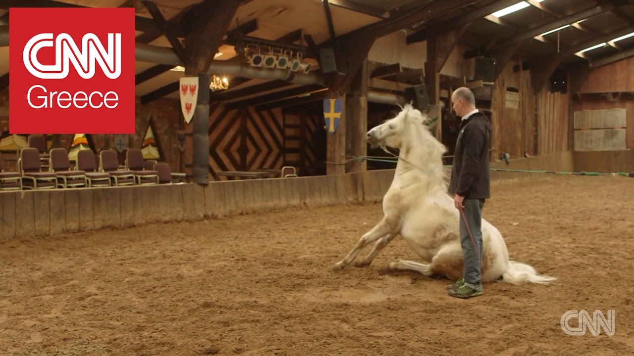 &Epsilon;&kappa;&pi;&alpha;&iota;&delta;&epsilon;ύ&omicron;&nu;&tau;&alpha;&sigmaf; &tau;&alpha; ά&lambda;&omicron;&gamma;&alpha; - &pi;&rho;&omega;&tau;&alpha;&gamma;&omega;&nu;&iota;&sigma;&tau;έ&sigmaf;