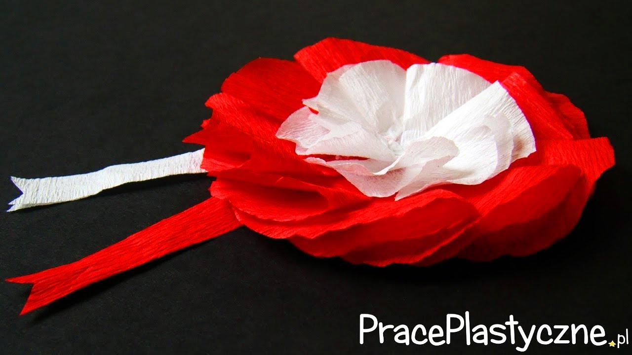 Jak zrobić kotylion z bibuły? | Kotylion na 3 Maja i Święto Niepodległości | Kokarda narodowa