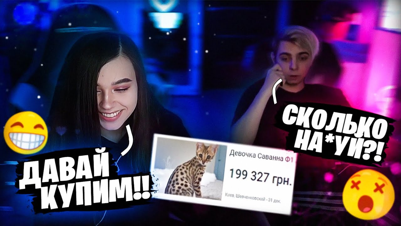 ЮЕЧКА И МОКРИВСКИЙ ВЫБИРАЮТ КОТА 😍 ПОДАРОК НА НОВЫЙ ГОД ОТ РОМЫ 🤩