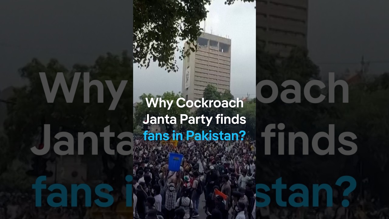 Why Cockroach Janta Party finds fans in Pakistan? | DW News