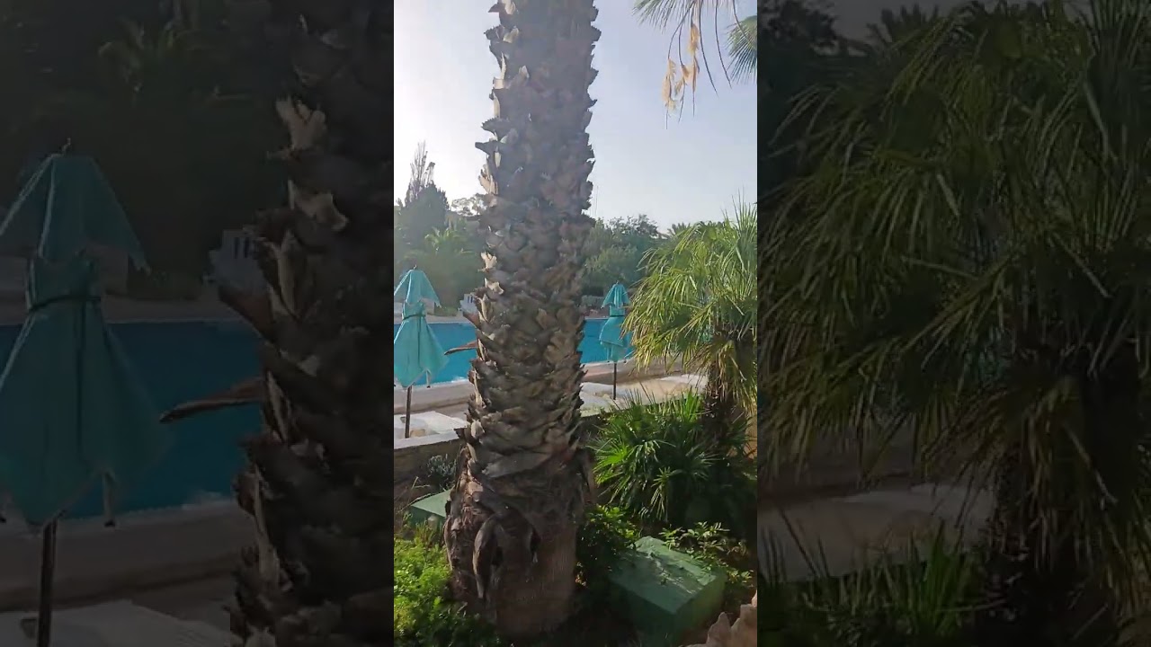 Mediterranee Thalasso Golf Hotel Hammamet