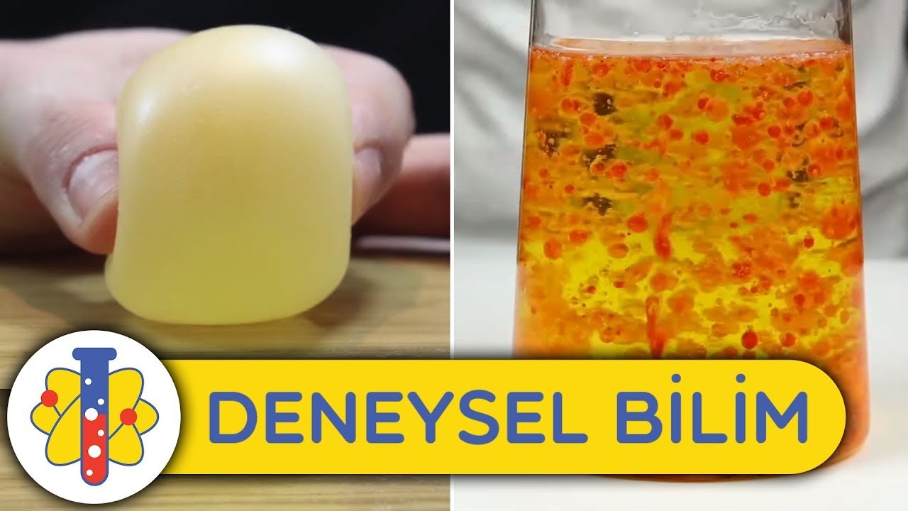 Evde Deneyebileceğiniz Eğlenceli Bilim Deneyleri | Derleme | Deneysel Bilim - Lab 360 Turkish